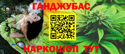 амф Гусев