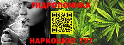 амф Гусев