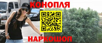 амф Гусев
