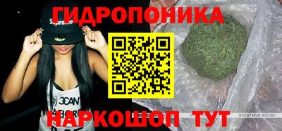 мдпв Гусиноозёрск