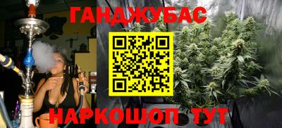 амф Гусев