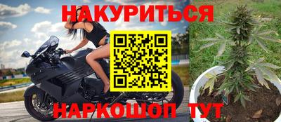 амф Гусев