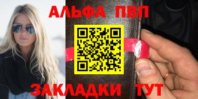 амф Гусев